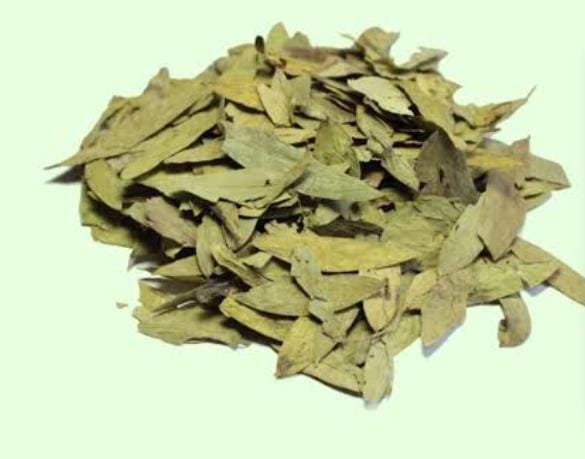 senna Leaves